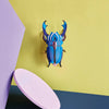 Small Insects - Azure Stag Beetle