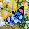 Small Insect - Peacock Butterfly