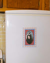 Magnetic Frames
