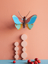 Small Insects - Claudina Butterfly
