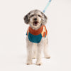 Dog Sweater- Color Patch
