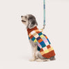 Dog Sweater- Color Patch