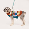 Dog Sweater- Color Patch