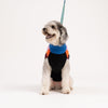 Dog Sweater- Color Patch