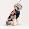 Dog Sweater- Color Patch