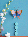 Small Insects - Gold Rim Butterfly