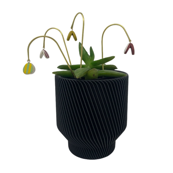 Plant Butterfly