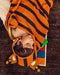 Baby Hooded Towel