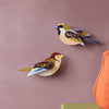 Birds - Sparrows