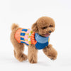 Dog Sweater- Patchwork Stripe