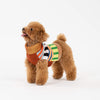 Dog Sweater- Patchwork Stripe