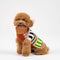 Dog Sweater- Patchwork Stripe