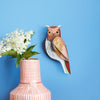 Bird - Tawny Owl