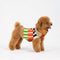 Dog Sweater- Patchwork Stripe