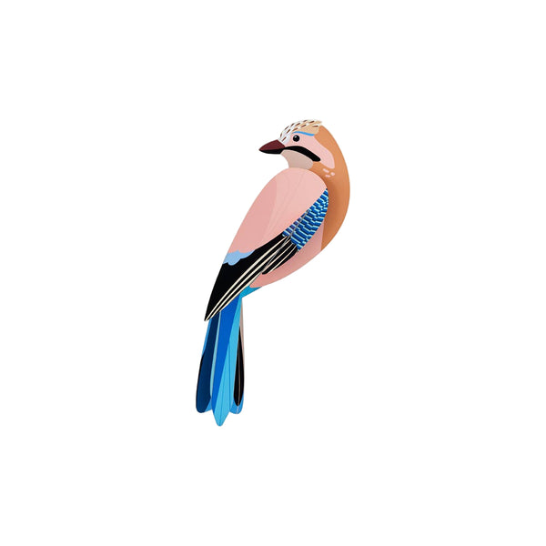 Jay