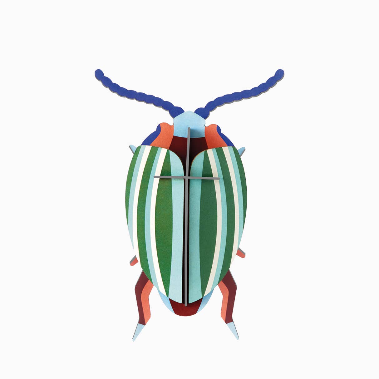 Small Insects - Rainbow Leaf Beetle