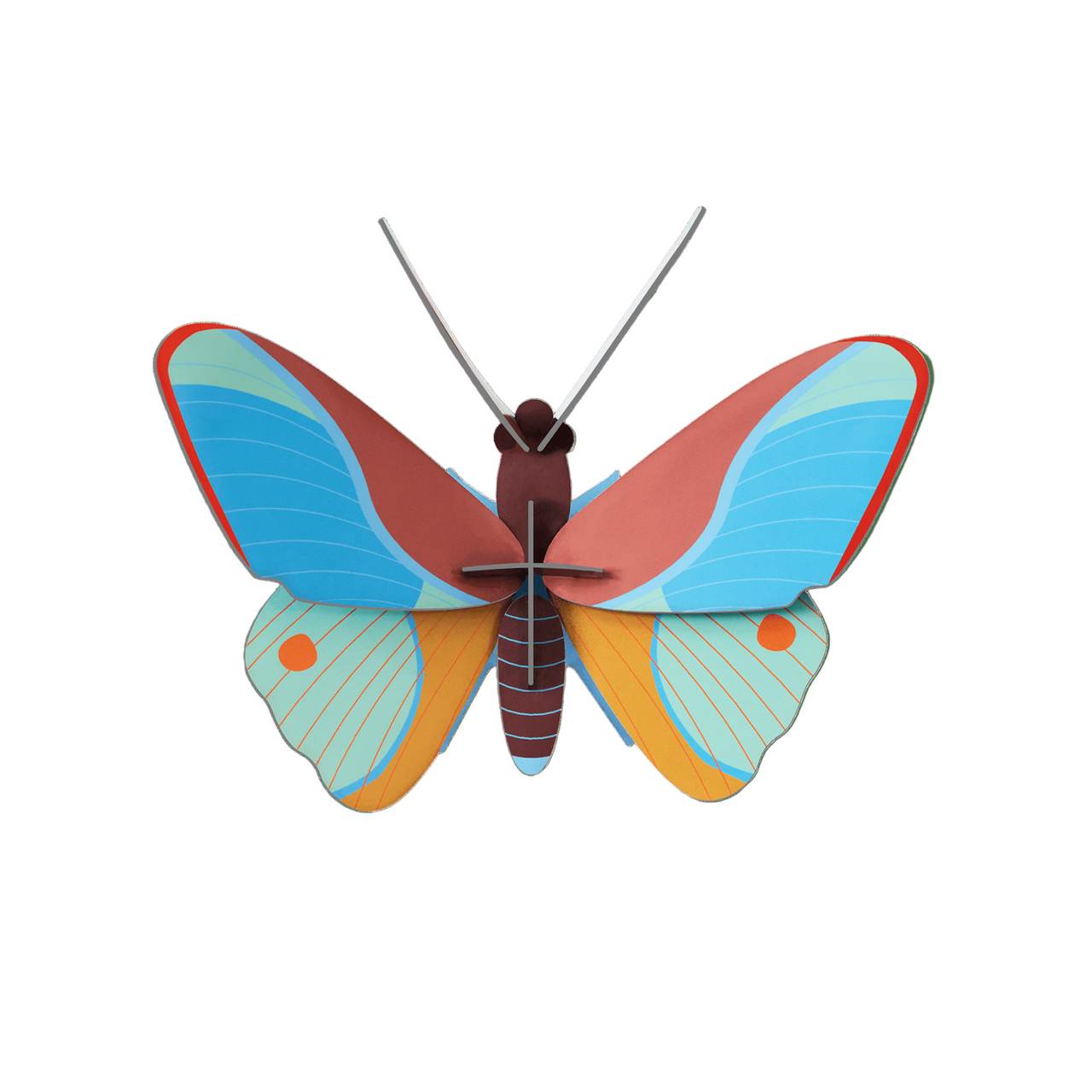 Small Insects - Claudina Butterfly