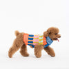 Dog Sweater- Patchwork Stripe