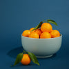 Essential Serving Bowl