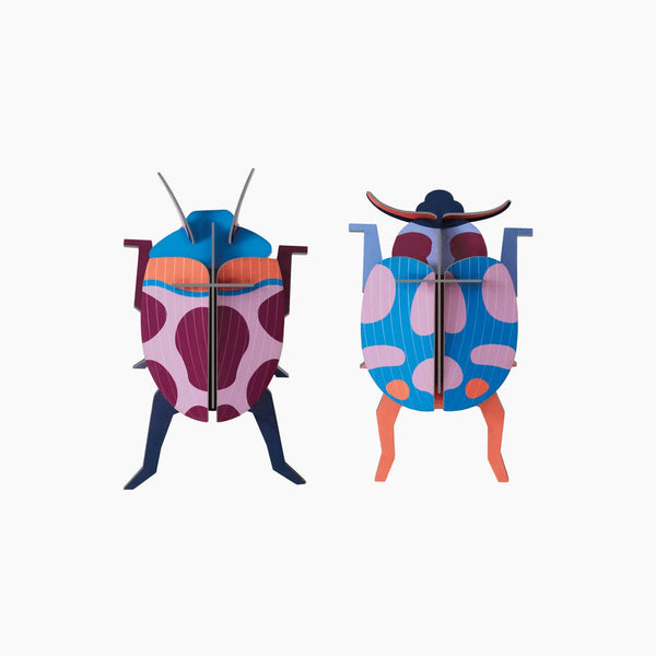 Small Insect - Coccinelle Couple