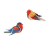 Birds - Robins