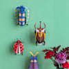 Small Insects - Rosalia Beetle