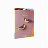 Birds - Sparrows