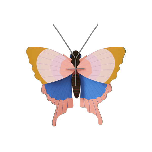 Small Insects - Gold Rim Butterfly