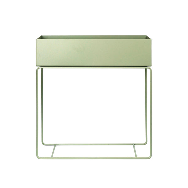 Plant Box Tea Green