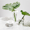Anywhere Vases - White