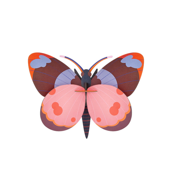 Butterfly - Bellissima