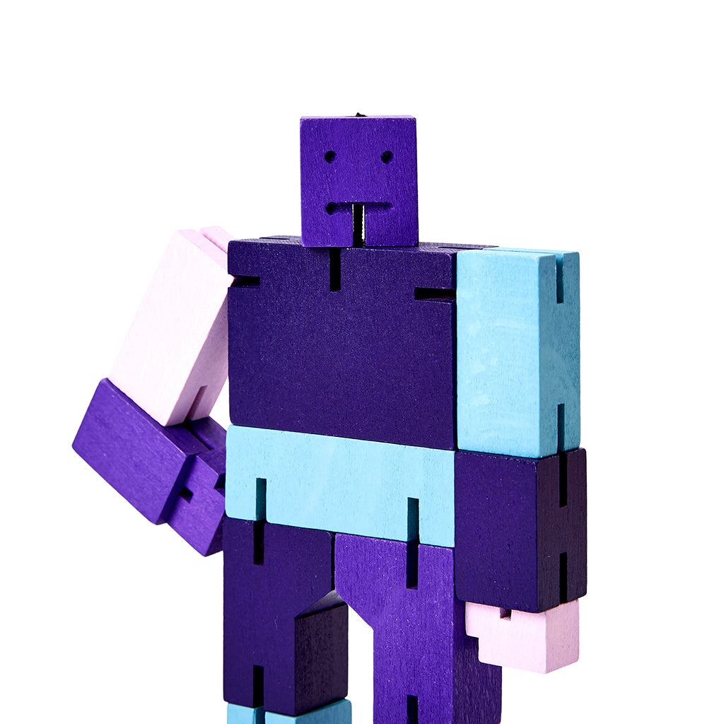 Cubebot Purple Multi