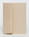 Card - Marsha P. Johnson