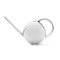 Orb Watering Can - Mirror Polished