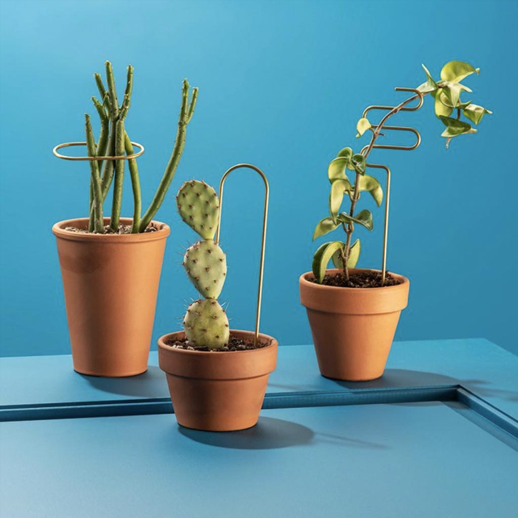 Brass Plant Sticks - Thumbnail 3