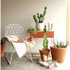 metal indoor outdoor garden succulent fixture furniture 