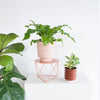 Block Planter - Brick