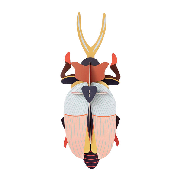 Beetle - Deluxe Rhinoceros