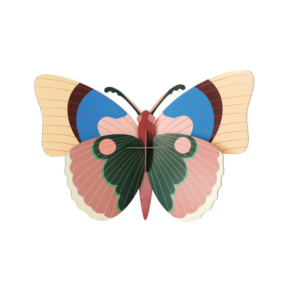 Butterfly - Cepora