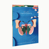 Butterfly - Cepora