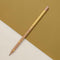 Magnetic Pencil